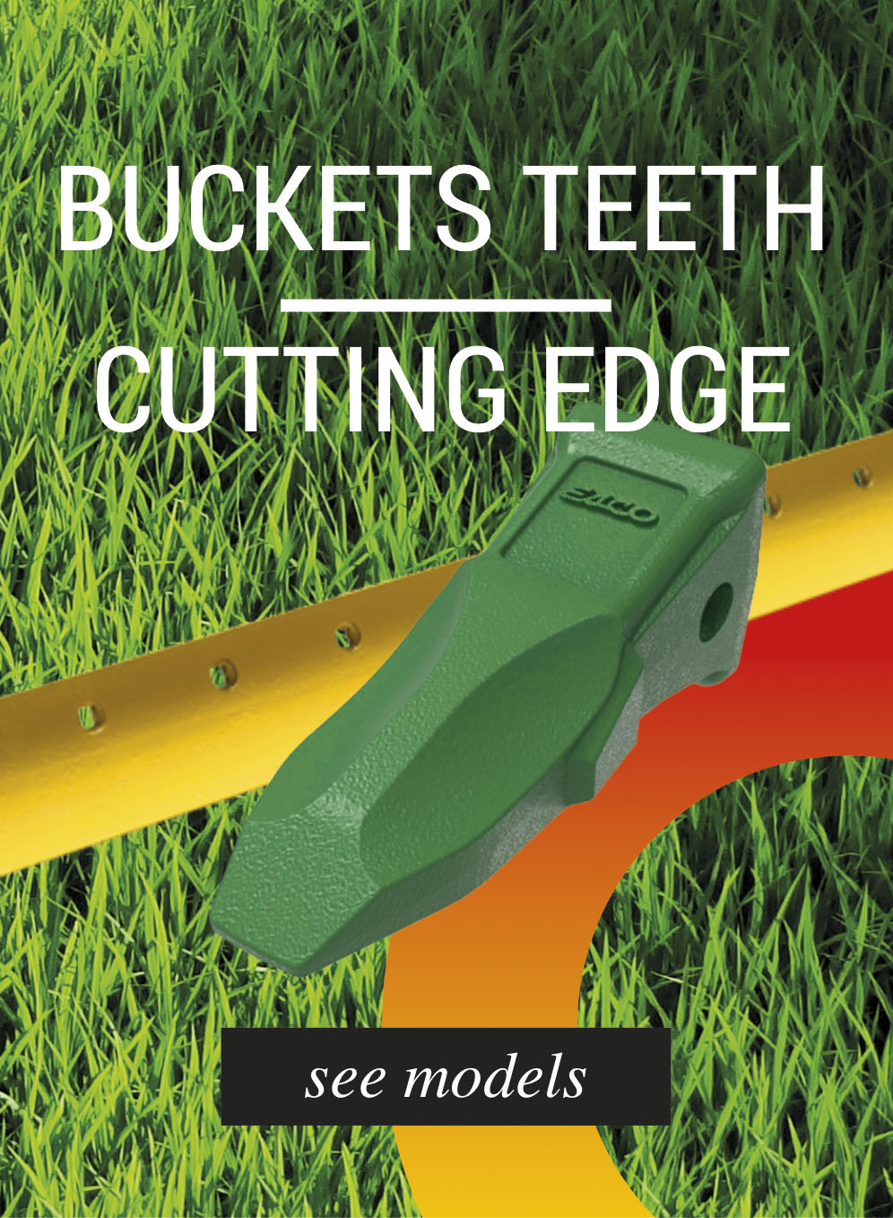 buckets teeth